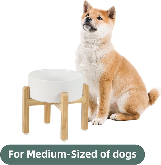 Havniva Ceramic Raised Dog Bowl Set, Elevated with Stand, Food and Water Bowl for Medium Breed Dogs, Weighted Dog Dishes, Pet Bowl(7.3'',41OZ, White)