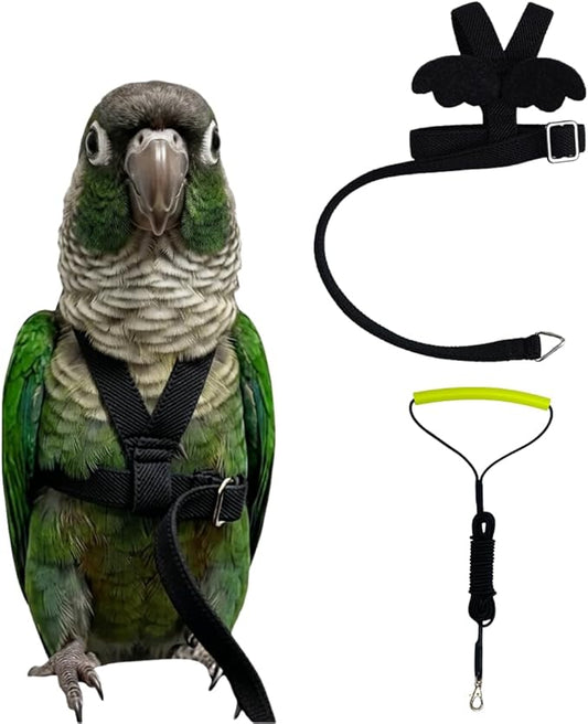 Adjustable Bird Harness with Elastic Leash, Pet Parrot Harness and Leash, Adjustable Training Design Anti-Bite, Bird Nylon Rope with Cute Wing for Conure (Black,M)