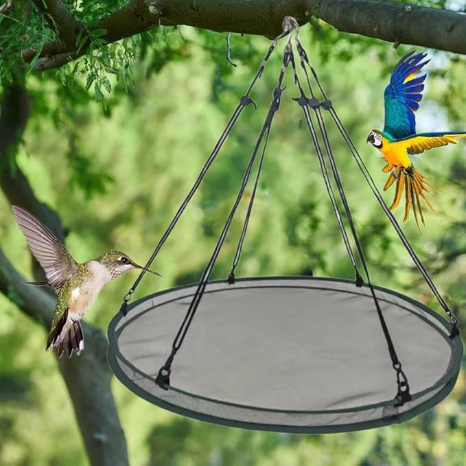 Bird Seed Catcher Tray for Hanging Bird Feeder, Large Outdoor Platform Tray with Adjustable Hanging Hoop, Deep Birdseed Holder for Hummingbird and Bee Feeders in Garden, Lawn, Backyard (M)