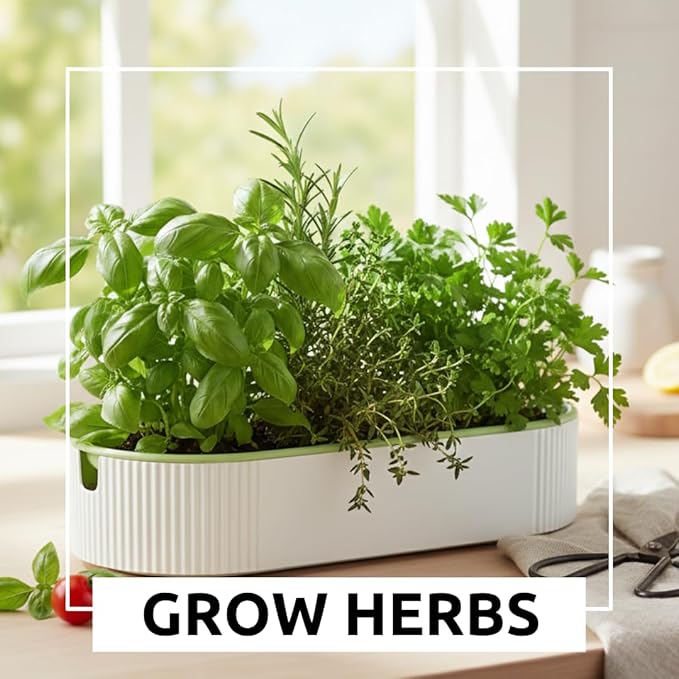 2 Hydroponic Growing Planters for Gardeners - Indoor Home Soil-Free Planter for Cat Grass, Herbs & Microgreens – Sprouting Container - Office Gift Exchange - No Seeds Included (2)