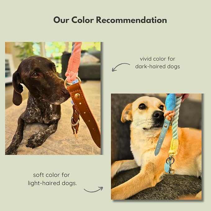 Pawtopia Cotton Braided Rope Collar for Large Dogs, Vegan Leather Handle (Brown) with One Complimentary Roll of Dog Poop Bags (15 Bags), Durable Metal Buckle (Vivid Rainbow Color, Large)