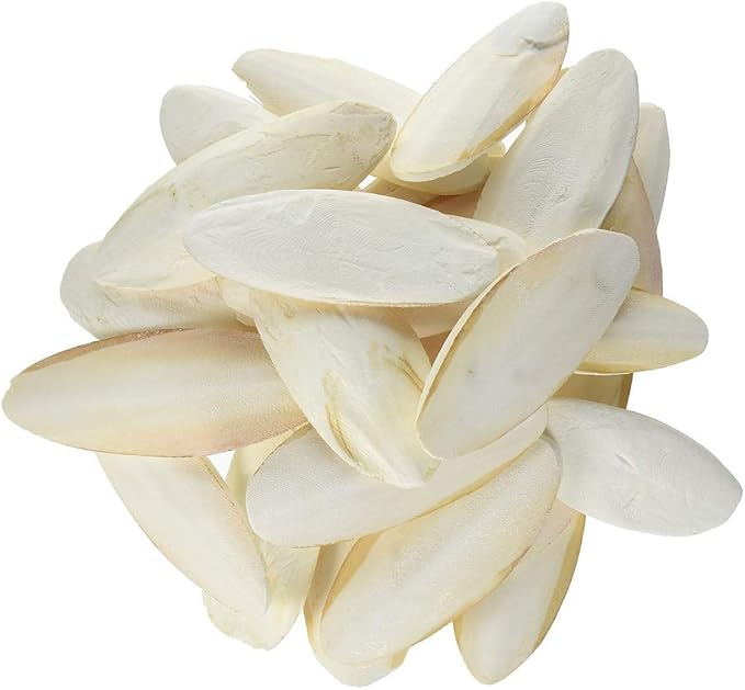 Prevue Pet Products Cuttlebone Pack with Holder - 25 Natural Calcium Bones for Birds, Beak Conditioning and Enrichment Toy, Easy Cage Attachment for Parakeets, Budgies, & Cockatiels - Medium