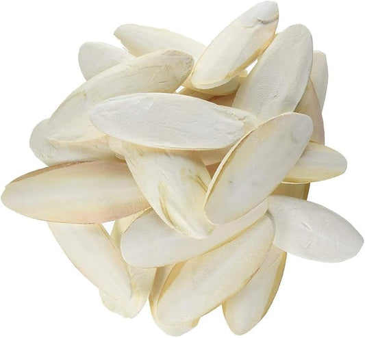 Prevue Pet Products Cuttlebone Pack with Holder - 25 Natural Calcium Bones for Birds, Beak Conditioning and Enrichment Toy, Easy Cage Attachment for Parakeets, Budgies, & Cockatiels - Medium