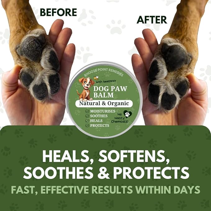 Lick Safe Dog Paw Balm - Softens, Heals, Soothes & Protects Dogs Paws, Noses & Skin. All Natural, Organic Ingredients. Lick-Safe Protection for Dogs with Beeswax (2 fl.oz - Standard Tin)