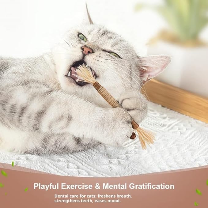 Natural Catnip Silvervine Sticks for Cats, 100% Organic Gall Fruit Mixed Chew Toys for Teeth Cleaning, Potent Cat Treats for Indoor Cats Boredom Relief & Digestive Health, 10 Count