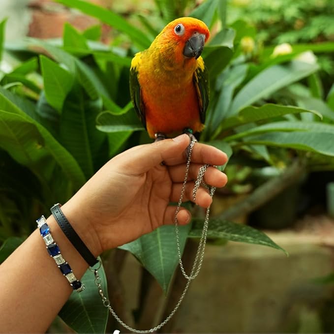 Bird Foot Chain Flying Stainless Steel Training Rope with Leather Wrist Strap Outdoor Parrot Ankle Foot Ring Accessories Bird Harness Leash Prevent Escaping (Model 4 Set)