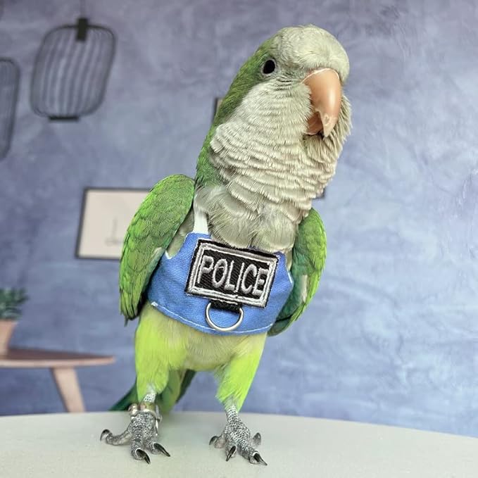 Bird Flight Harness Vest, Parrot Flight Suit with Leash, Bird Flying Clothes with Rope and Handle for Outdoor Activities (Without Leash,Cockatiel) (Without, XL)