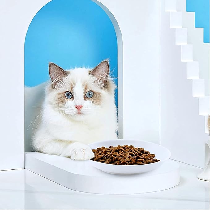 Cute Fish Bone Design Cat Bowls - Wide & Shallow Ceramic Feeding Dishes for Wet & Dry Food, Kittens to Cats