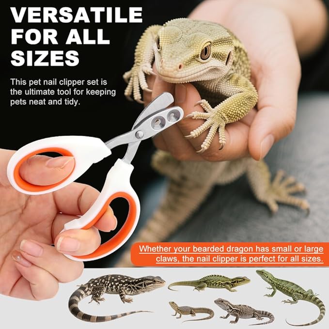 Bearded Dragon Nail Clippers, Stainless Steel Cat Nails Trimmer, Small Animal Nail Clippers for Birds Hamsters Rabbits Chameleon, Bearded Dragon Supplies Professional Claw Trimmers(Orange)