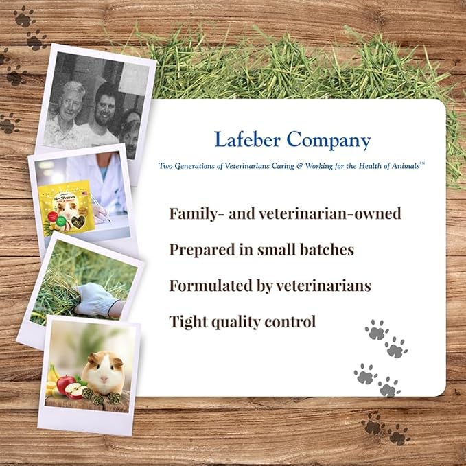 LAFEBER'S Hey!Berries for Guinea Pigs 5 oz (Natural Apple and Banana Flavoring)
