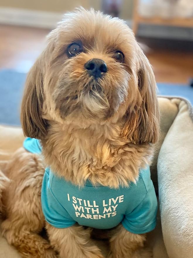 Cute Dog Clothes, T Shirt for Medium and Small Dogs Girl Boy,Puppy.Breathable Soft Dog Costume for Pet Dogs Cats, Pet Pullover Jumper, Cat Clothes (S-(4~8lb), Chest~14",Aqua)