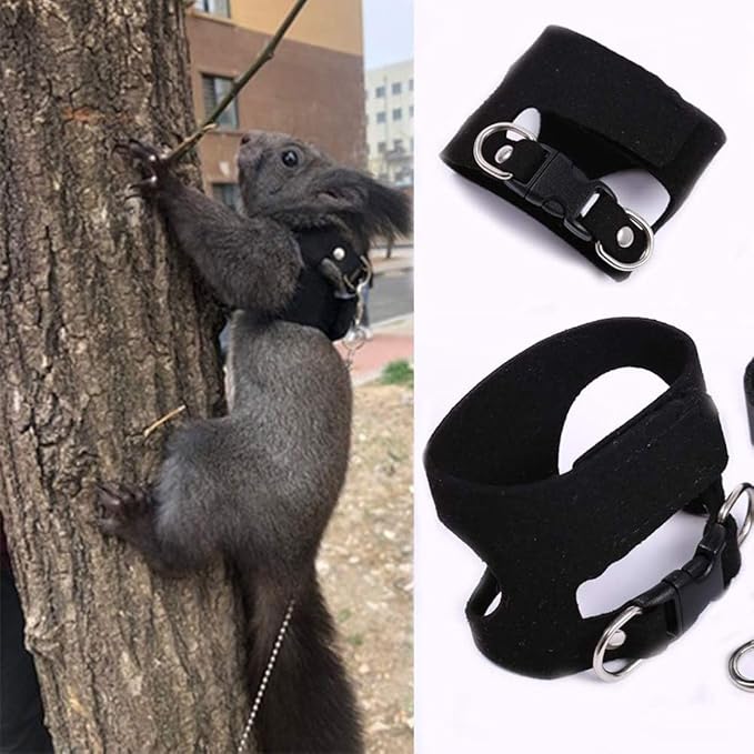 3 Pack Squirrel Harness and Leash Set - Adjustable Traction Rope Strap Anti-Biting Chain,Small Animal Training Walking Vest Leash for Squirrel Gerbil Chinchilla Rat (Black)