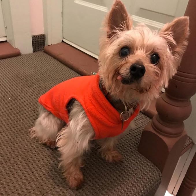 Gooby Fleece Vest Dog Sweater - Pumpkin, Large - Warm Pullover Fleece Dog Jacket with O-Ring Leash for Small to Medium Dogs