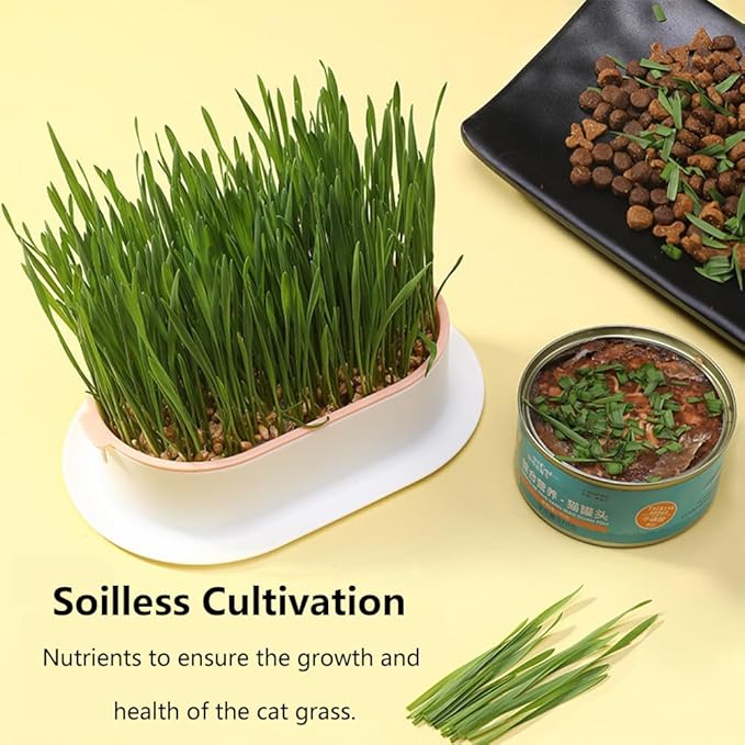 Cat Grass Planter, Hydroponic Cat Grass Box Trays for Sprouts Growing Kits, Indoor Gardening System for Pets, Soil-Free Planter(3PCS)