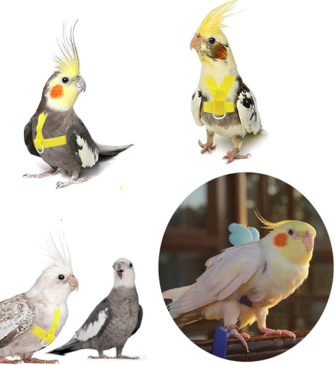 Birds Adjustable Harness and Leash, Parrot Outdoor Flying Training Traction Rope Straps with Cute Wing for Small Animal Birds, Parrots, Pigeons, Lizard, Turtles (L,Green)