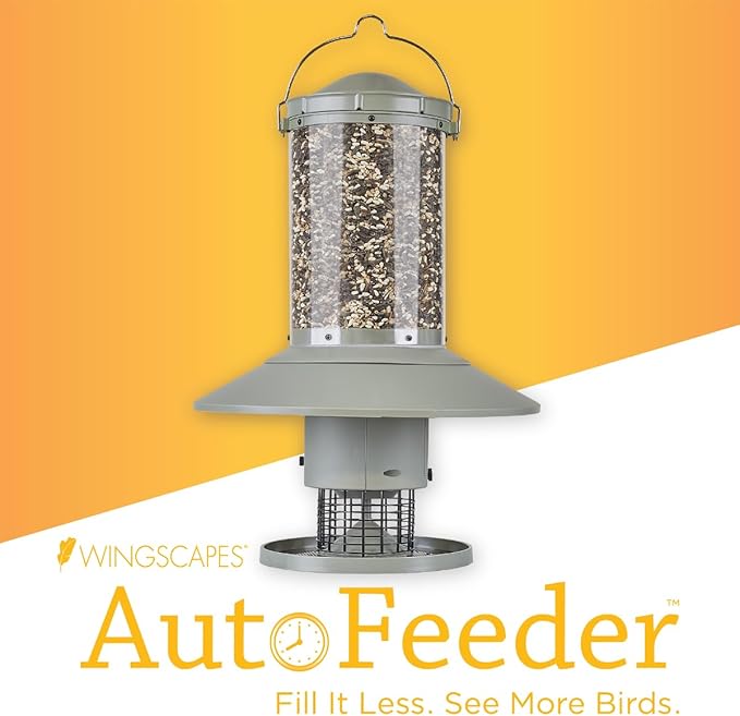 AUTOFEEDER Bird Feeder, Programmable, Automatic Time Released, Battery-Powered, Removable Lid, Squirrel Proof, Weather Resistant, 360 Degree Perch, Large Capacity - Classic Green