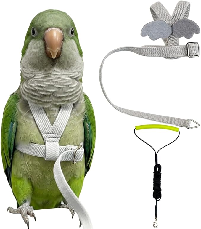Adjustable Bird Harness with Elastic Leash, Pet Parrot Harness and Leash, Adjustable Training Design Anti-Bite, Bird Nylon Rope with Cute Wing for Conure (Grey,L)
