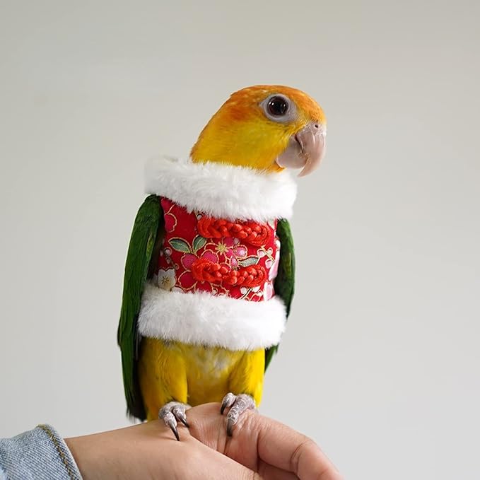 Bird Flight Suit & Clothes Cosplay Photo Prop for Parrots, Parakeet, Cockatiel & Sun Conure - Bird Hoodie for Small Animals (Red, X-Large)