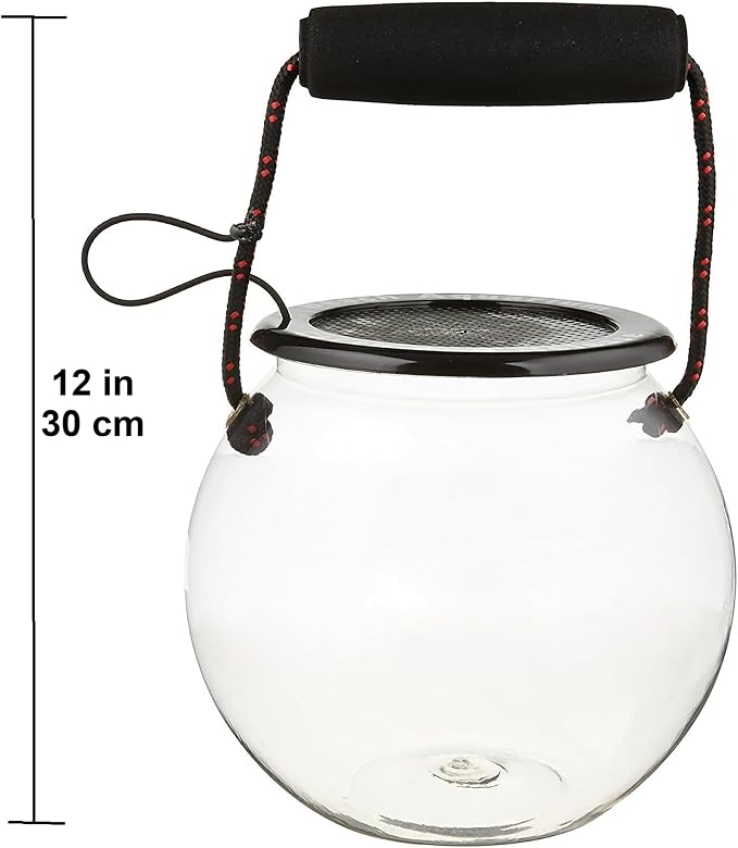 Dry Branch Sports Design Catch and Release Beach Aquarium Kit , Clear