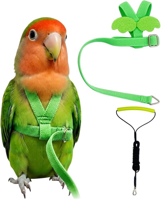 Adjustable Bird Harness with Elastic Leash, Pet Parrot Harness and Leash, Adjustable Training Design Anti-Bite, Bird Nylon Rope with Cute Wing for Conure (Green,S)