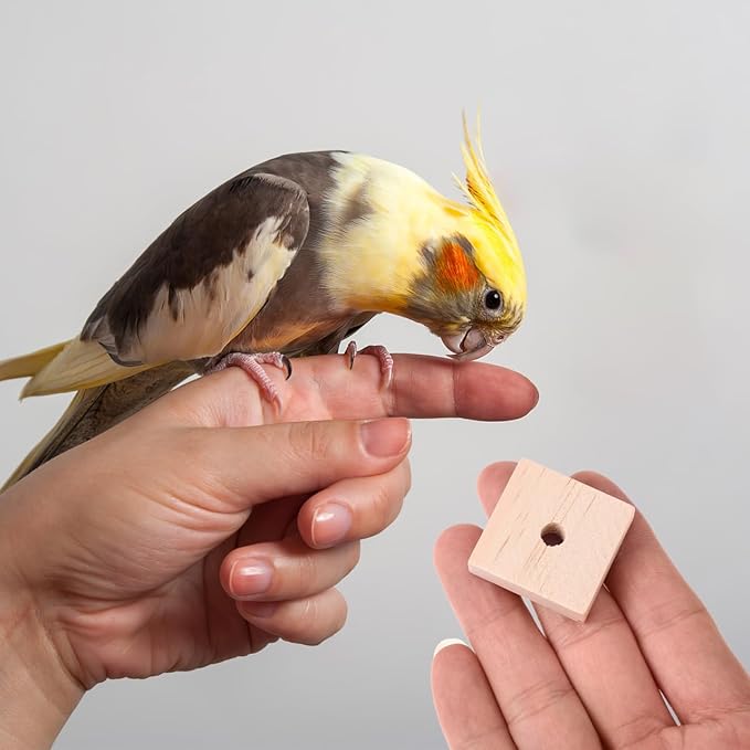 Housoutil Parrot Chewing Blocks 100Pcs Natural Wooden Bird Toys DIY Craft for Bird Cage Accessories Cockatoos Macaws African Grey Small Medium Birds