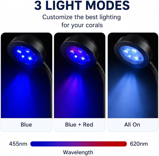 Nano Reef Light for Coral, LED Aquarium Light 5.2W USB Clip Lamp, Full Spectrum 455-620nm, Dimmable with Timer 3/9/12H, 360° Gooseneck Fish Tank Light for Saltwater Coral Tank with USB Power Adapter