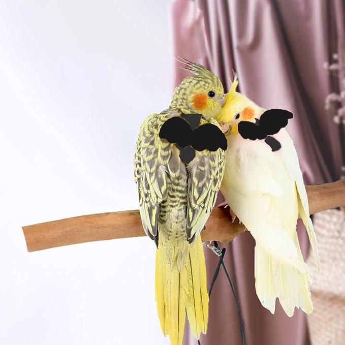 Birds Harness Leash Outdoor Flying Escape-Proof Adjustable Training Design Anti-Bite Bird Rope with Cute Wing for Parrots Scarlet Keck Mini Macaw Love Birds (Black)