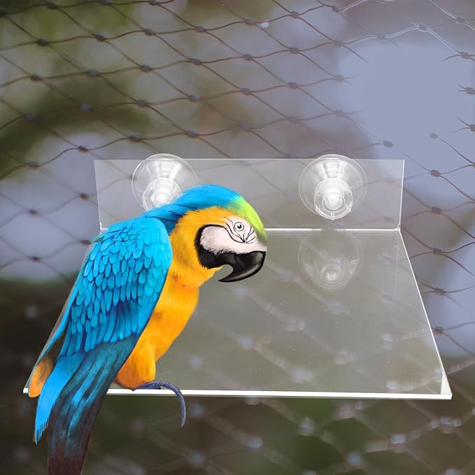 HANABASS Suction Cup Parrot Stand Platform Portable Acrylic Bird Perch for Windows Showers and Walls Flat Bird Stand for Small to Medium Parrots Parakeets Cockatoos and Macaws