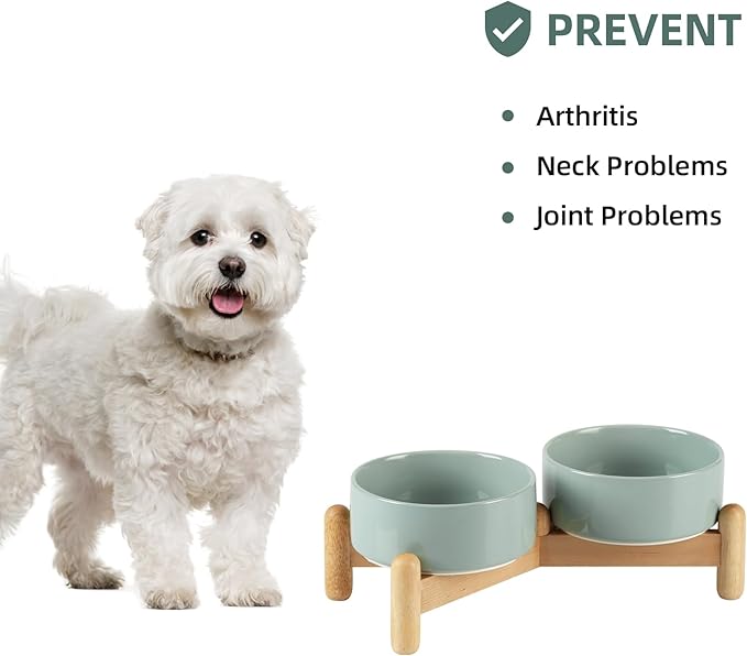 Havniva Ceramic 5.1inch Raised Double Bowls Set with Wooden Stand, Elevated Food & Water Bowls for Small Breed Dogs, Cats, Kitty, Weighted Dog Dishes, Pet Bowls(13.5oz, Light Green)