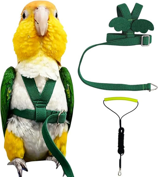 Adjustable Bird Harness with Elastic Leash, Pet Parrot Harness and Leash, Adjustable Training Design Anti-Bite, Bird Nylon Rope with Cute Wing for Conure (Deep Green,XL)