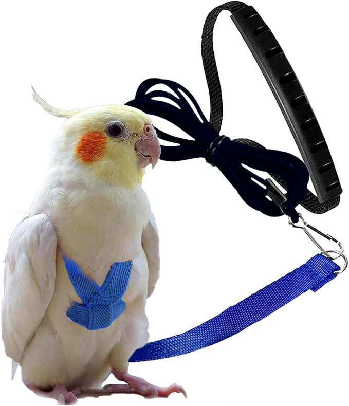 Birds Harness Leash Outdoor Flying Escape-Proof Adjustable Training Design Anti-Bite Bird Rope with Cute Wing for Parrots Scarlet Keck Mini Macaw Love Birds (Blue)