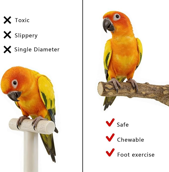 Bird Cage Perches Accessories: Parrot Natural Wooden Perch Set with 4 Standing Sticks - Daily Climbing Rest & Beak & Nail Grinding for Parakeets Luonfels - Caring for The Health of Parrots