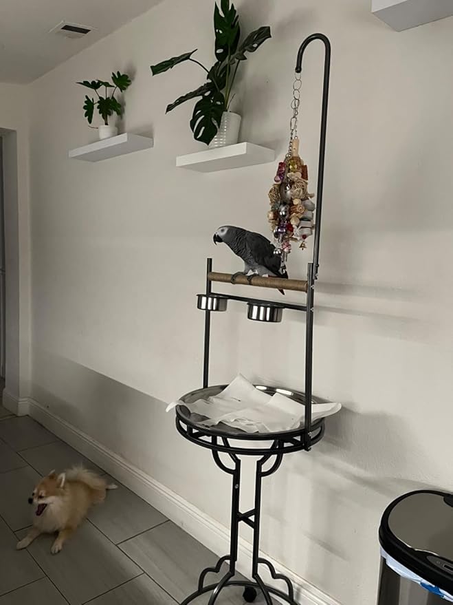 72" Parrot Stand Large Bird Playstand, Wood Perch with Easy Grip Pet Products,Stainless Steel Tray Bowls Toy Hook Rolling Wheel, Wrought Iron Bird Play Ground Rolling Stand