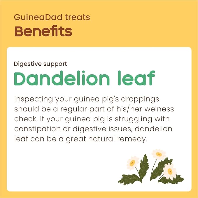 GuineaDad Organic Guinea Pig Herbal Treats - Guinea Pig Food with Convenient Packaging Dandelion Leaf Flavor 10 fl. oz - Guinea Pig Treats Help with Bonding High in Nutrition, Good for Digestion Small