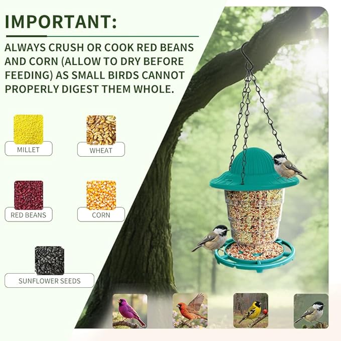Small Bird Feeder - Durable Plastic Design, Easy Fill & Clean, Attracts Finches & Songbirds, Great for Outdoor Use in Yards, Porches and Decks