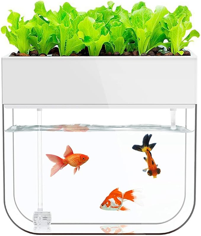 Hydroponic Garden Aquaponic Fish Tank Plants Growing System Self-Cleaning Seed Sprouter Tray