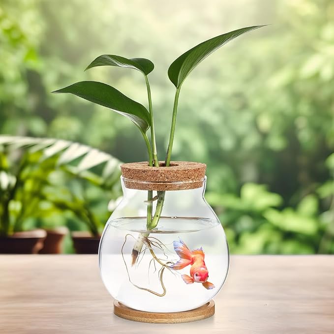 Homoyoyo Desktop Glass Fish Bowl with Wood Lid, Glass Plant Propagation Station Vase Betta Fish Tank, Small Round Hydroponic Terrarium Bottle for Water Plants Moss Desktop Decor Transparent 4. 3in