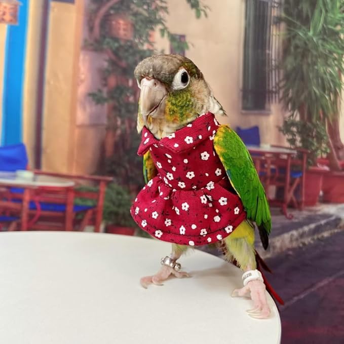 Bird Costume Bird Diaper Flight Suit Vintage Floral Dress Summer Skirt Clothes Cosplay Photo Prop for Parrots Lovebird Parakeet Cockatiel Small Animals Apparel (Green Cheek Conure)