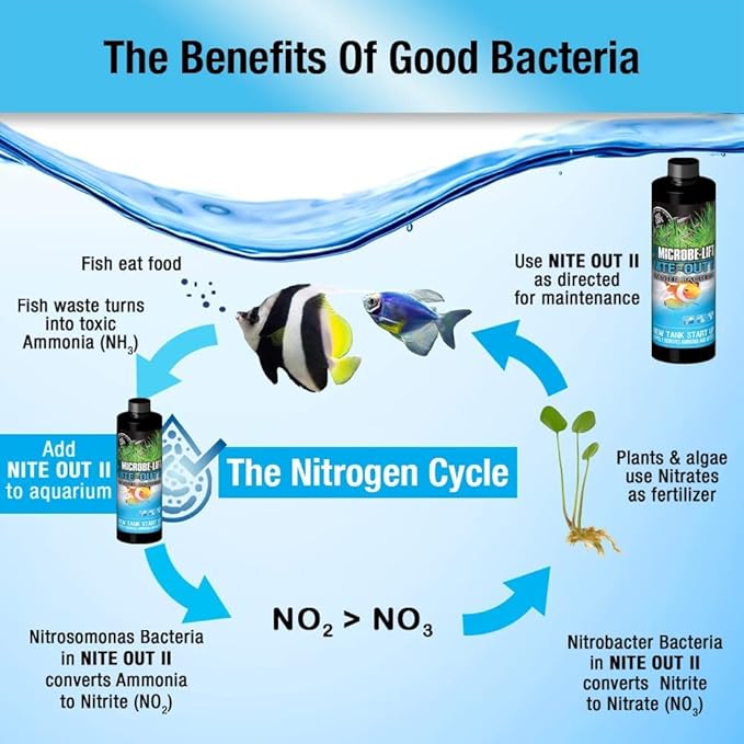 MICROBE-LIFT NITEH Nite-Out II Aquarium and Fish Tank Cleaner for Rapid Ammonia and Nitrite Reduction, Freshwater and Saltwater (64 Ounces)