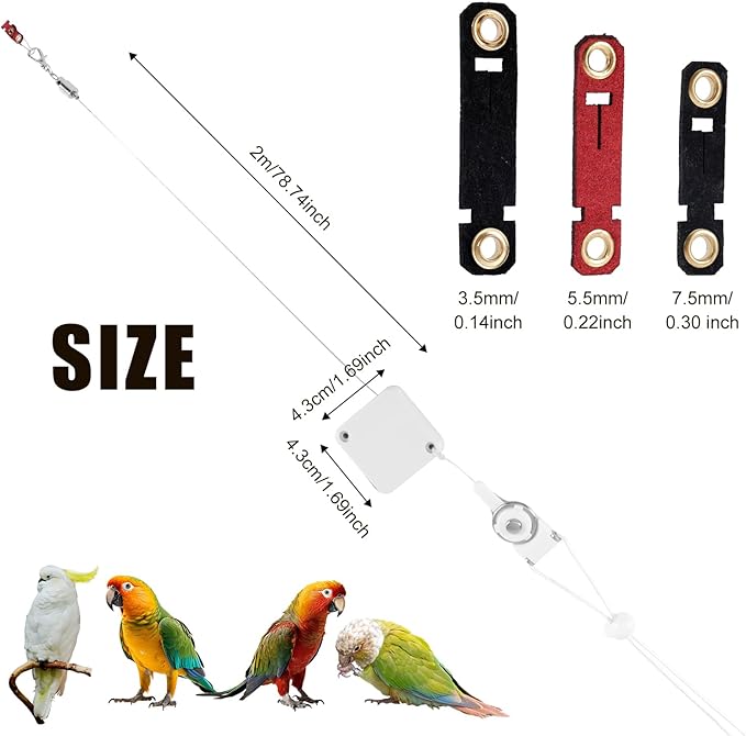 Retractable Bird Leash, 6.56ft Bird Harness with 3 Sizes of Foot Rings Parakeet Flying Ankle Harness Parrot Leg Leash Outdoor Flying Training Supplies Kit for Cockatiels Budgies (White)