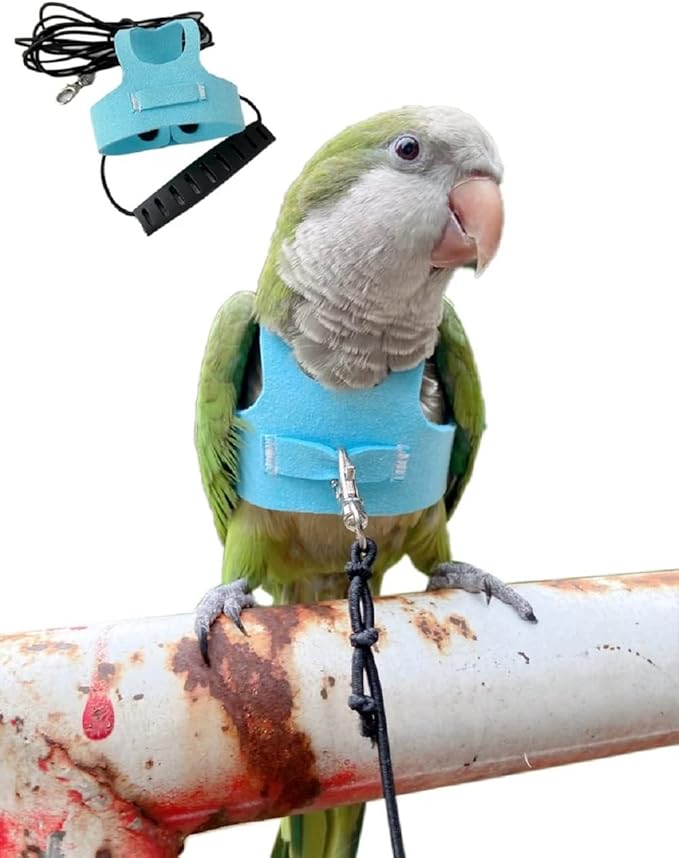 Bird Flight Harness Vest Parrot Flight Suit with Leash for Parakeets Cockatiels Conures Budgies, Bird Flying Clothes with Rope and Handle for Outdoor Activities Training (XS,Blue)
