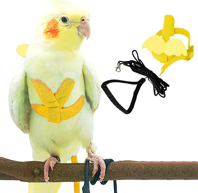Birds Harness Leash Outdoor Flying Escape-Proof Adjustable Training Design Anti-Bite Bird Rope with Cute Wing for Parrots Scarlet Keck Mini Macaw Love Birds (Yellow)