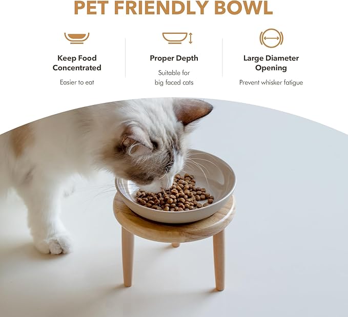 Havniva Elevated Cat Bowls, Ceramic Cat Food Bowl Whisker Friendly Cat Dishes, Kitten Food & Water Bowl with Two Heights Stand, Anti-Slip Raised Cat Food Plates