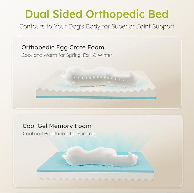 CWAWZ XXL Dog Bed for Extra Large Dogs, Giant Orthopedic Dog Bed with Cooling Gel Memory Foam, Waterproof Pet Bed with Removable Washable Cover, 53" Pet Sofa bed Dutch Velvet with Bone Toy, Light Gray