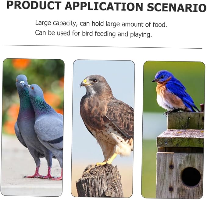 Tofficu Suction Cup Acrylic Bird Feeder for Seed Feeding No Spill Food Feeding Station with Hanging Design Suitable for Indoor and Outdoor Wild Birds