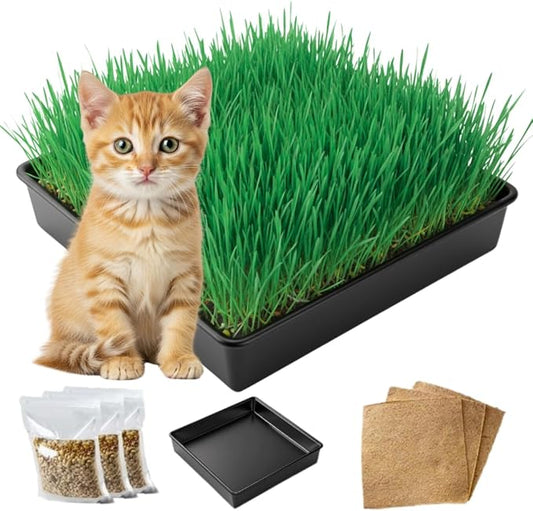 Cat Grass Growing Kit - Cat Lover Holiday Gift - Organic Seed, Jute Grow Mats, No Tools Needed - 10 x 10 Grow Container - Great for Indoor or Outdoor Pets - Complete Set - White Elephant