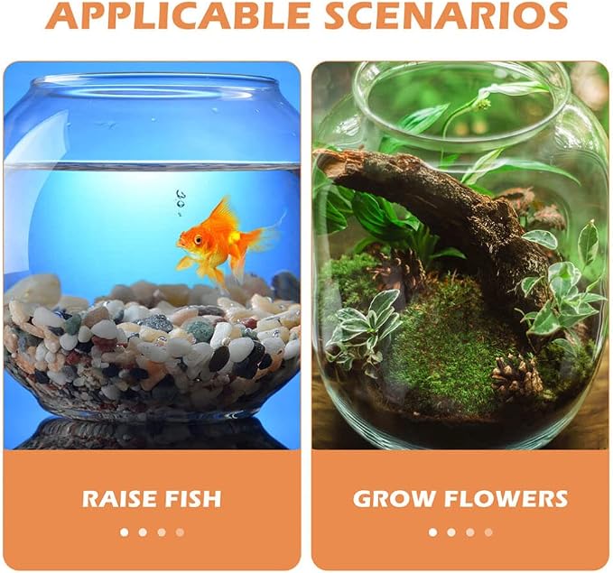 Ipetboom Glass Fish Bowl Fish Tank Stand Bubble Fish Bowl with Wood Stand Set Small Goldfish Tank Clear Hydroponic Plant Terrarium Desktop Fish Tank with Display Base