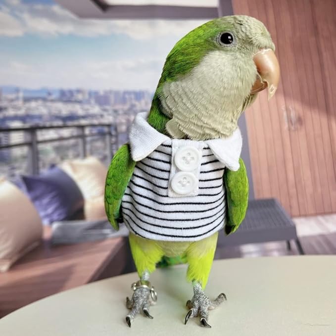 Bird Costume Bird Diaper Flight Suit Bird Summer Clothes Cosplay Photo Prop for Parrots Lovebird Parakeet Cockatiel Small Animals Apparel (Without Diaper,Senegal)