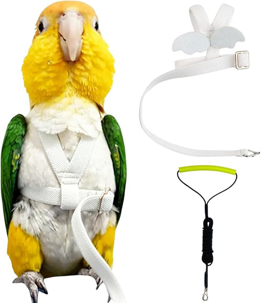Adjustable Bird Harness with Elastic Leash, Pet Parrot Harness and Leash, Adjustable Training Design Anti-Bite, Bird Nylon Rope with Cute Wing for Conure (White,XL)