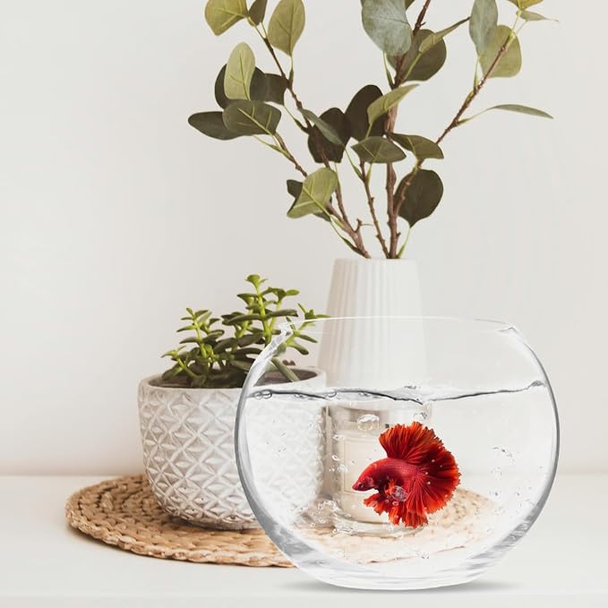 Baluue Round Glass Fish Bowl 5.90 in Clear Bubble Bowl for Fish Plants Flowers Shells and Crafts Compact Desktop for Home Office Shop Decor Centerpieces Terrarium